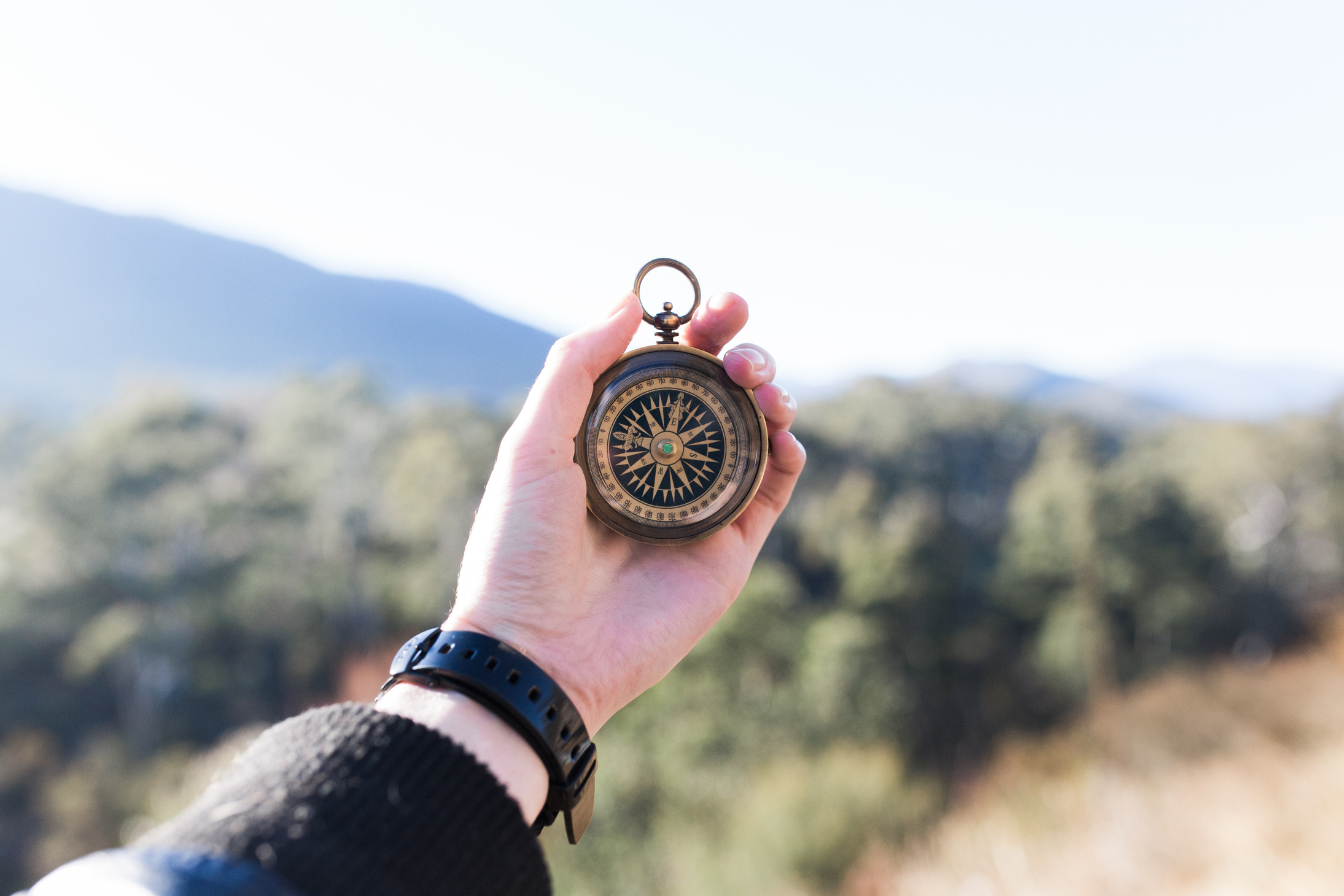 Hand with Travel Compass