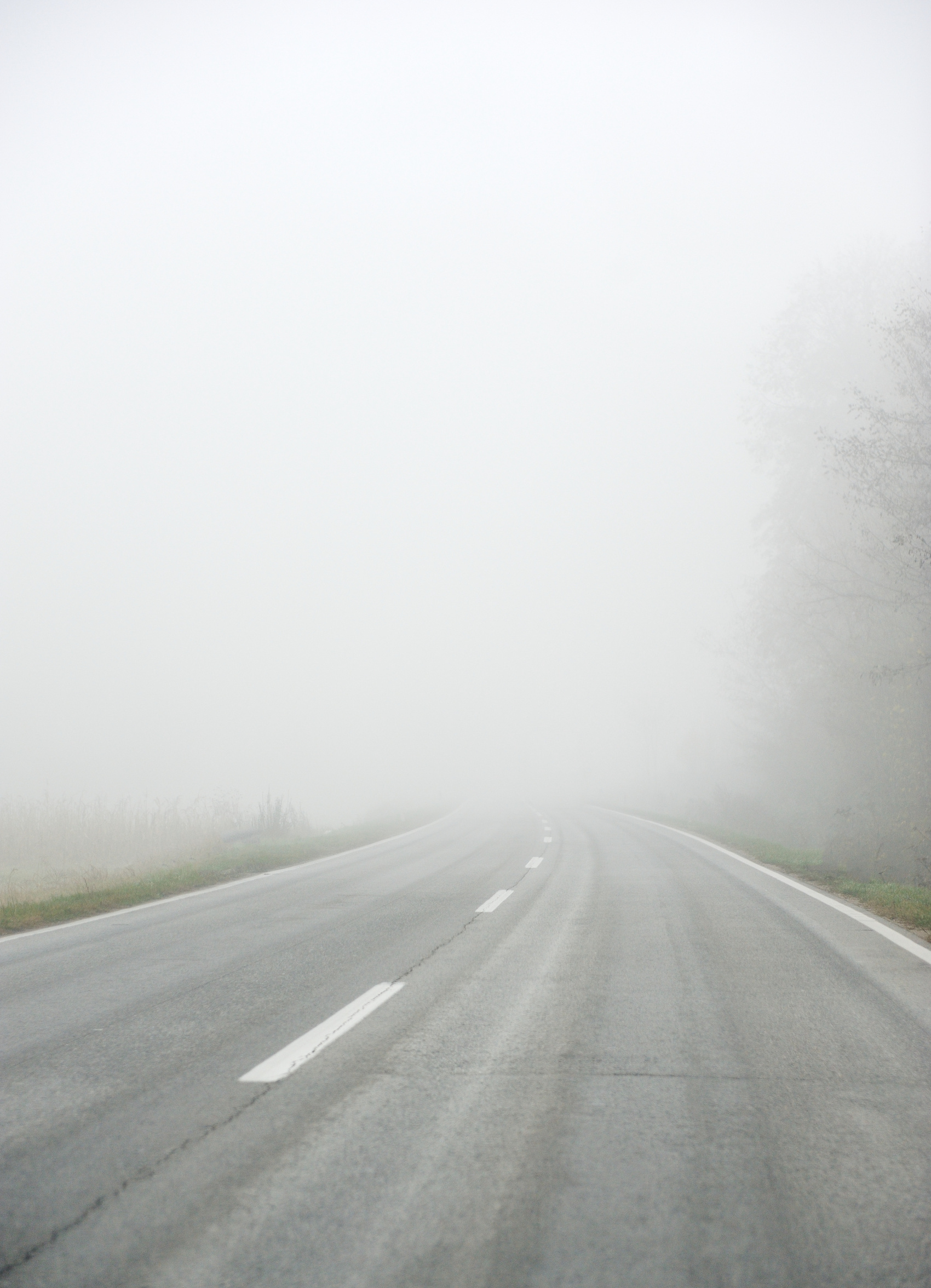 Road in Fog